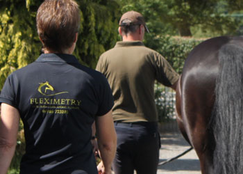 Fleximetry staff walking with horses