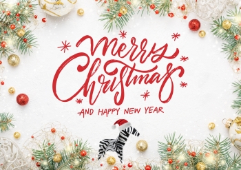 Looking back on 2025